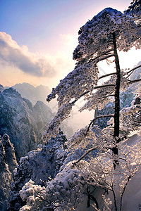 黄山雪景黄山迎客松背景