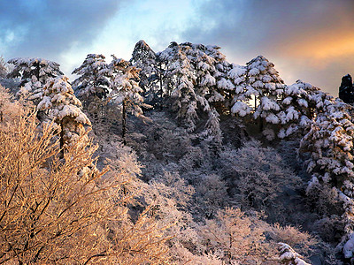 黄山风景区大美黄山冬天景色背景