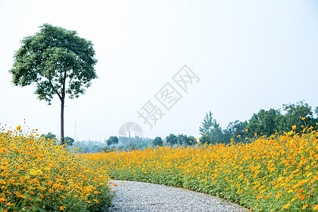 嘉兴景色绿道里的景色背景