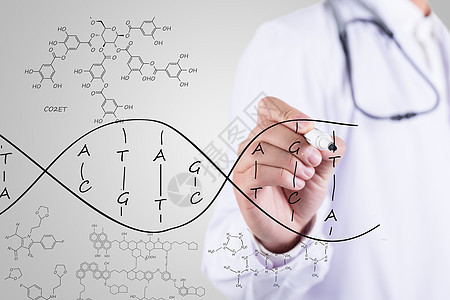 医生手绘DNA结构背景图片