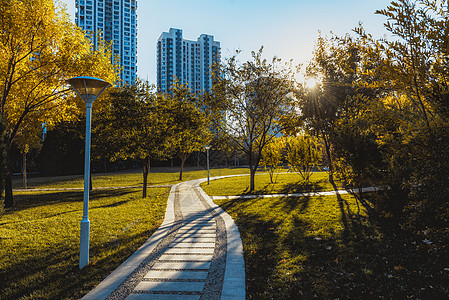 下雨小区散步秋日阳光植物小路背景