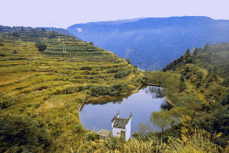 梯田鸟瞰梯田流水背景