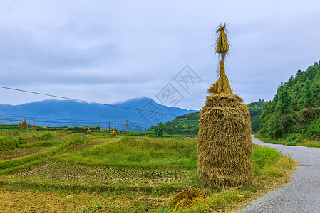 群山起伏金黄秋收背景图片