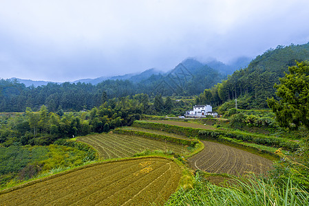 梯田鸟瞰连绵起伏的群山梯田背景