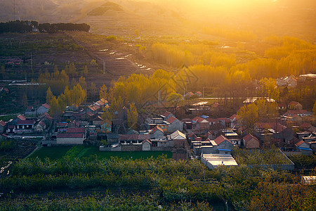 果园风光山村夕照背景