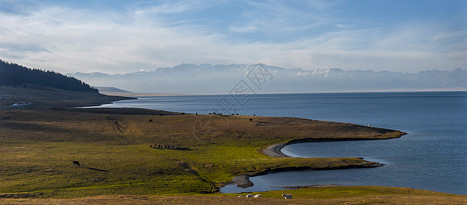 向阳之湖新疆第一大盐水湖艾比湖背景
