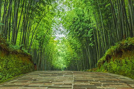 烟雨长廊幽静的蜀南竹海竹林石板路背景