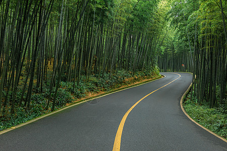 蜀南竹海林间公路背景图片