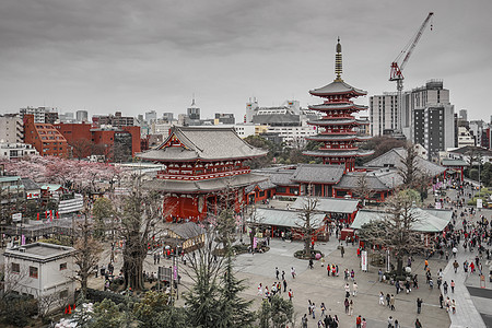 日本浅草寺东京浅草寺背景