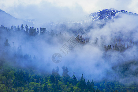 山云雾云彩路树林高清图片