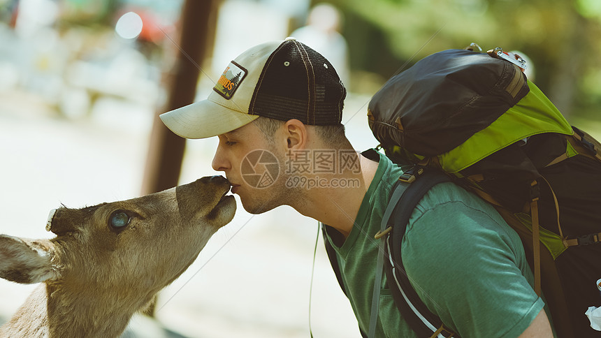 与鹿亲吻的游客图片