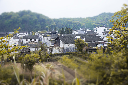 婺源风光背景图片