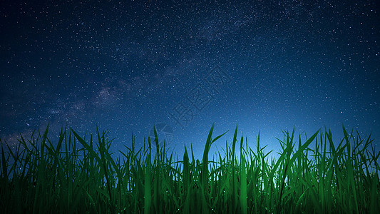 草原夜色星空下的田野背景