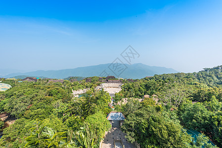 三亚森林公园海南三亚亚龙湾热带雨林背景