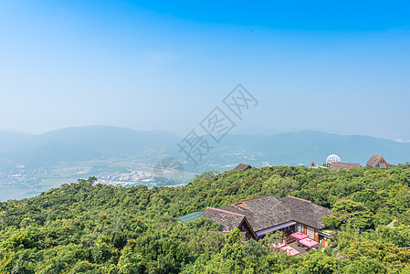 三亚森林公园海南三亚亚龙湾热带雨林背景