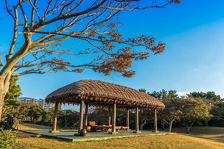 韩国景色韩国济州民俗村背景