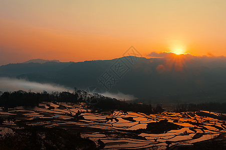 山顶上的树云南背景