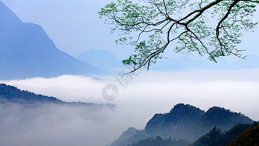 中国风水墨画背景充满意境和水墨画般的光雾山风光背景