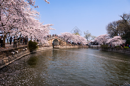 春天人们花草树木背景