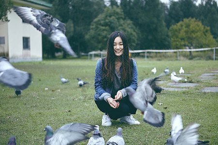 喂鸽子的女孩背景图片