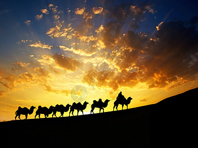 夕阳下的沙漠和骆驼剪影背景图片
