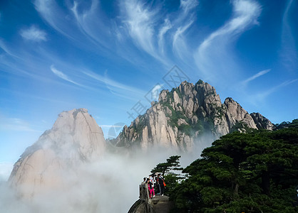 蓬莱松黄山山峰云海美景背景