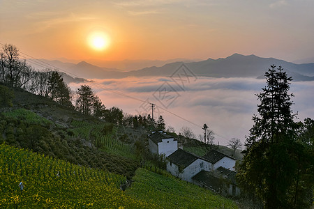 春天首页日出山居云海背景