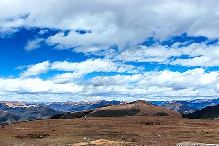 泰勒斯威夫特新疆阿泰勒背景