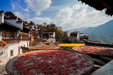 徽派风景秋天婺源篁岭晒秋背景