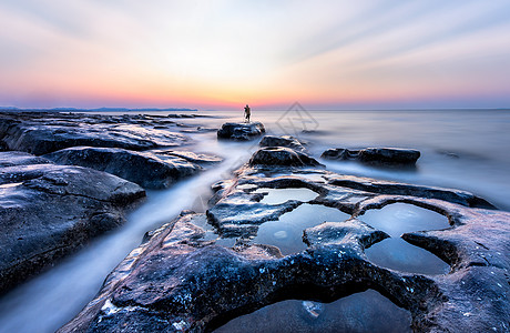 海浪海鸥海景风光背景