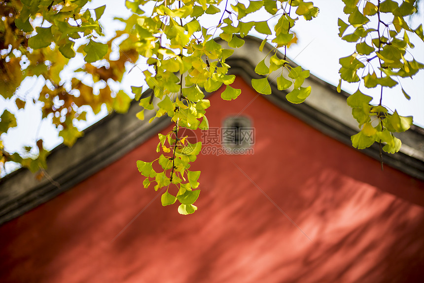 深秋的红房子图片