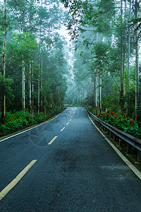 林间 公路林间公路高清图片