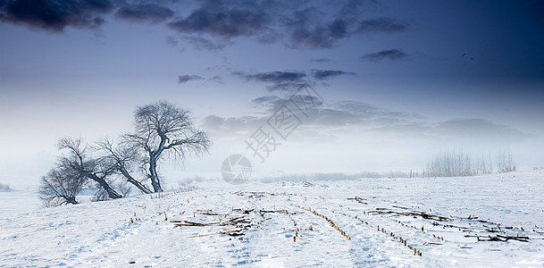 大雪覆盖的土地大漠雪景背景