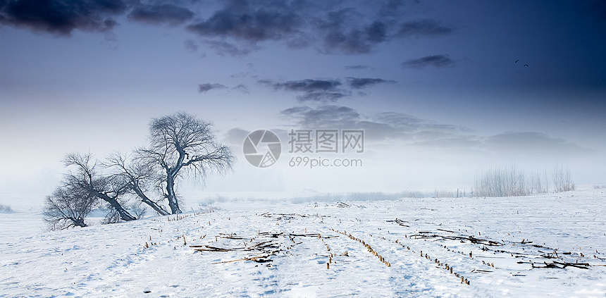 大漠雪景图片