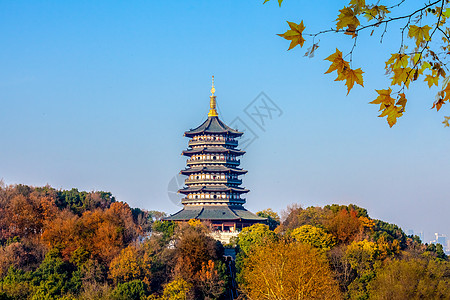 杭州丝绸西湖雷锋塔背景