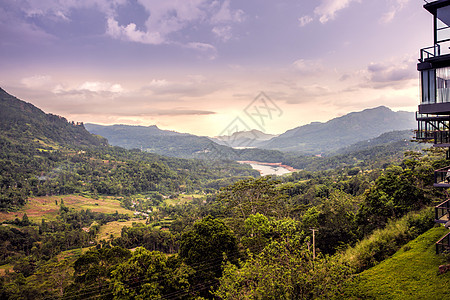 斯卡布罗斯里兰卡高山茶园风光背景