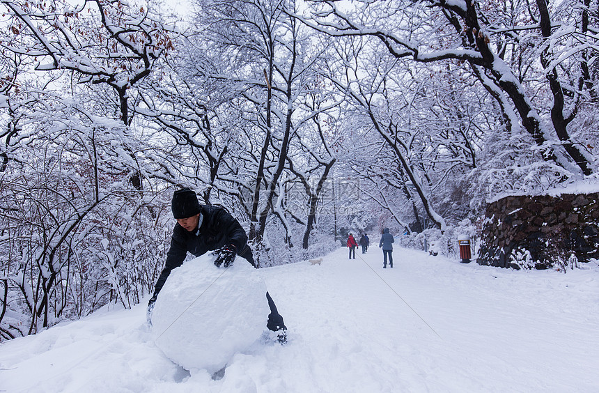 冬天雪景冬天下雪堆雪球的人图片素材_免费下载_jpg图片格式_VRF高清图片500721116_摄图网