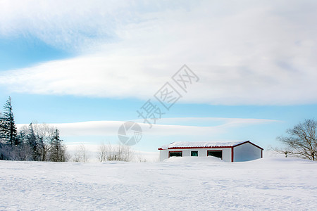 哈尔滨冰雪节东北亚布力清晨的雪景背景