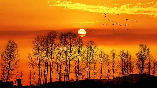 夕阳下的唯美黄昏剪影背景图片