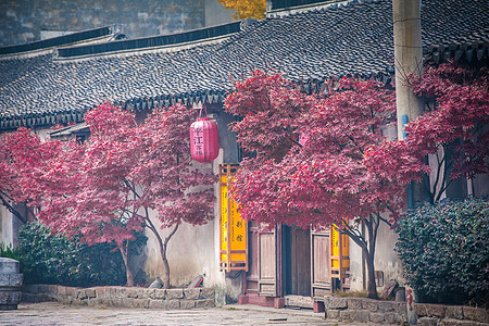 小樽红枫苏州平江古街背景