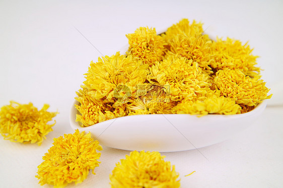 碗里的金丝皇菊 菊花茶
