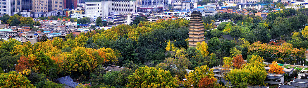 秋天公园西安古城小雁塔秋色全景背景