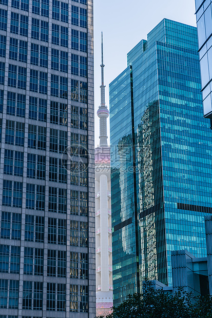 城市高楼中的东方明珠图片