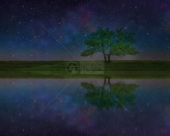 星空下的树和倒影图片