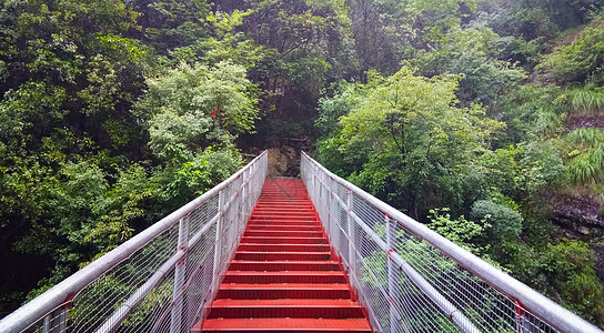 绿色森林中的红色栈道背景图片