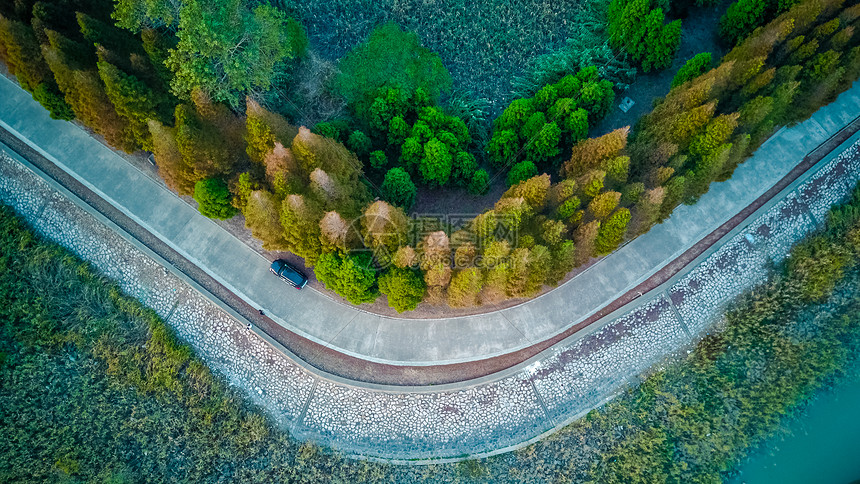 上海秋季自然风景航拍图片