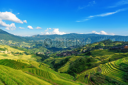 蓝天白云梯田风光背景图片