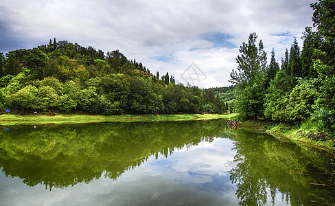 南沙湿地公园湖景森林湿地公园背景