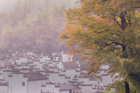 婺源石城秋色风景图片