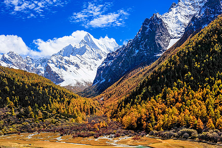 稻城亚丁风光亚丁风景区背景